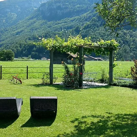 Mountain-panorama * Meiringen