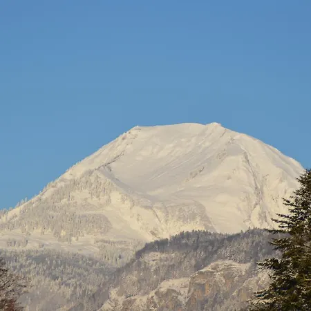 公寓 Mountain-panorama 迈林根