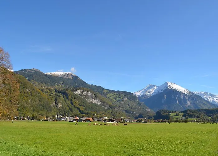 Apartman Mountain-panorama