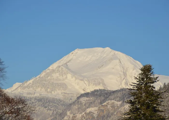 Daire Mountain-panorama Meiringen